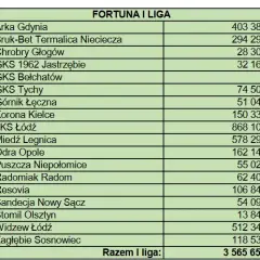 Zarobki piłkarzy reprezentacji Polski: Gdzie leżą ich fortuny?