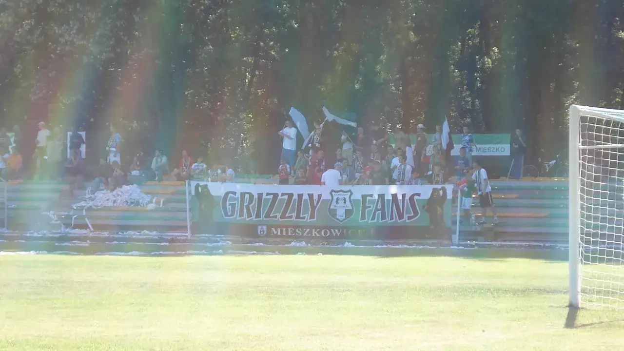 Tryb kibicowania na meczu. Fani 